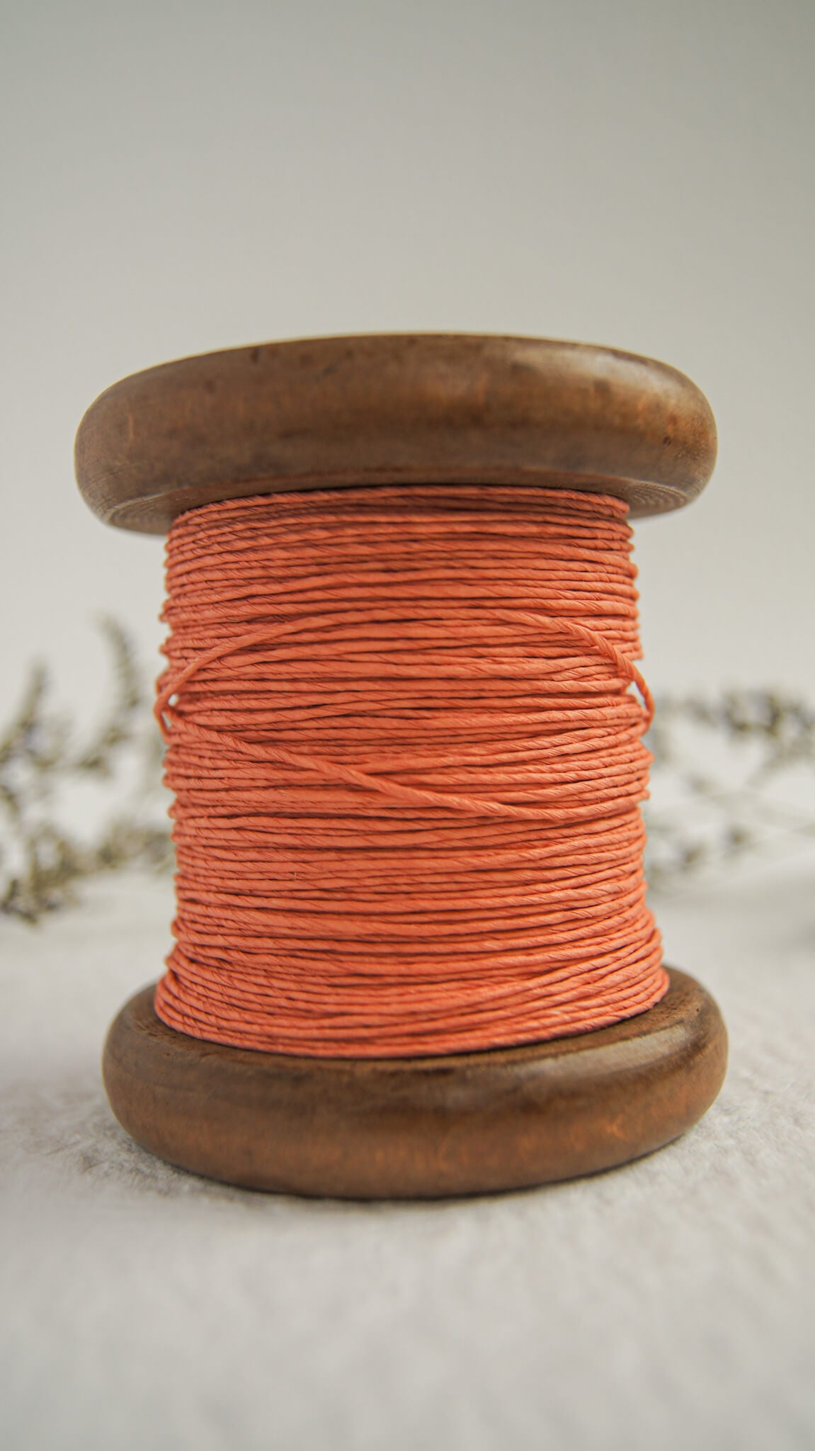 Fil de papier sur bobine de bois - paper yarn on wooden bobbin
